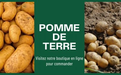 Vente livraison Pommes de terre à Perpignan