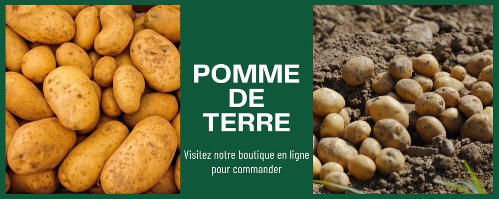 Livraison de pomme de terre à Perpignan